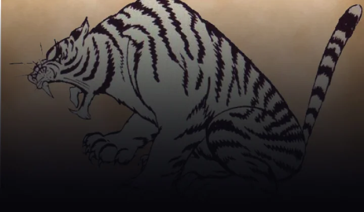 The Tiger and the Fly